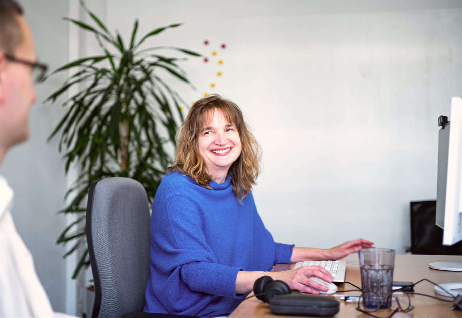Eine Person arbeitet an einem Computer in einem Büro. Im Hintergrund ist eine große Pflanze sichtbar.