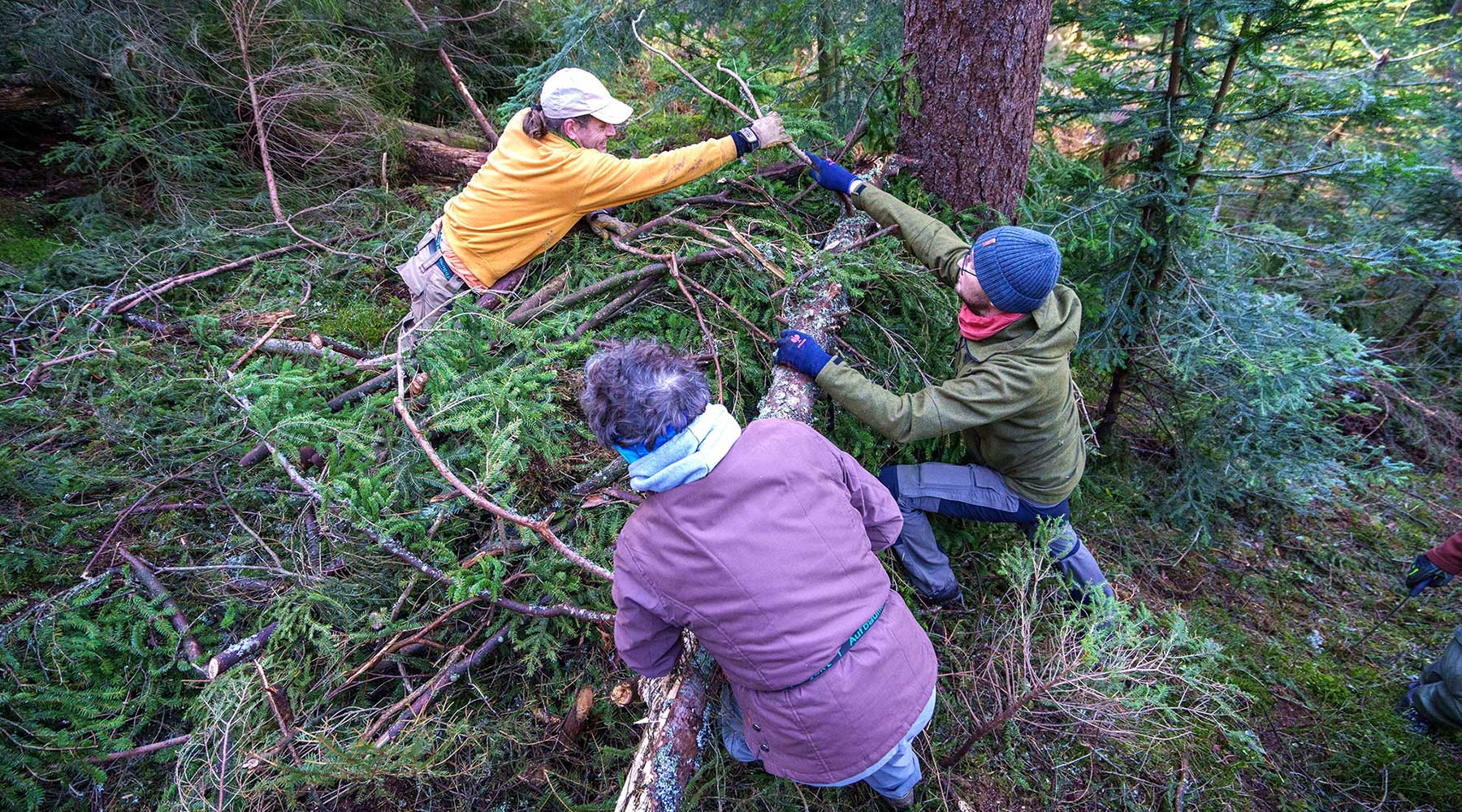 Aufräumarbeiten im Wald