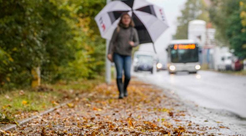 Person mit Regenschirm auf herbstlichem Gehweg, Bus und Autos im Hintergrund.