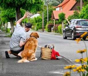 hundesitting-1158.jpg
