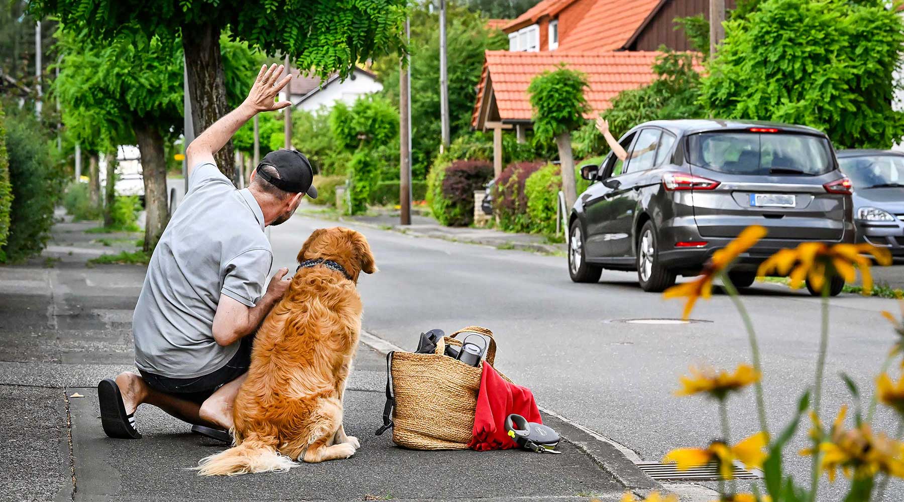 hundesitting-1800.jpg