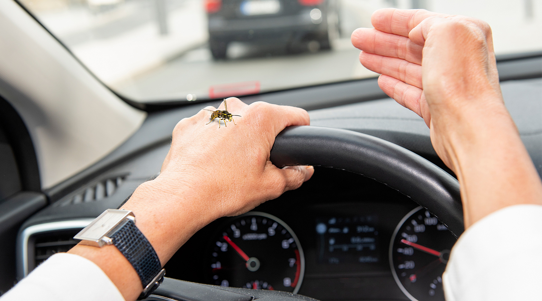 Dame fährt Auto und hat eine Vespe auf der Hand