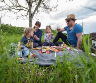 Familie macht Picknick auf der Wiese