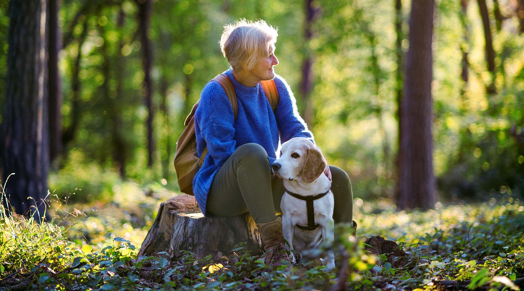 Eine Frau sitzt auf einem Baumstumpf im Wald mit ihrem Hund.