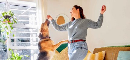 Ein Hund springt einer Frau in der Wohnung an die hochgehaltene Hand.