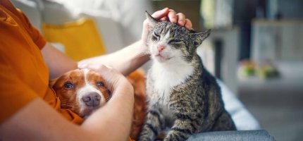 Frau sitzt mit Hund und Katze auf dem Bett