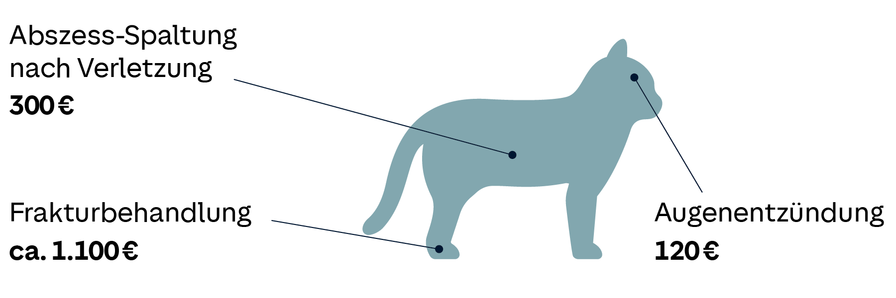 Schematische Darstellung einer Katze mit markierten Stellen unterschiedlicher Erkrankungen oder Verletzungen und deren Kosten: Abszess-Spaltung nach Verletzung 300 €, Augenentzündung 120 €, Frakturbehandlung ca. 1.100 €
