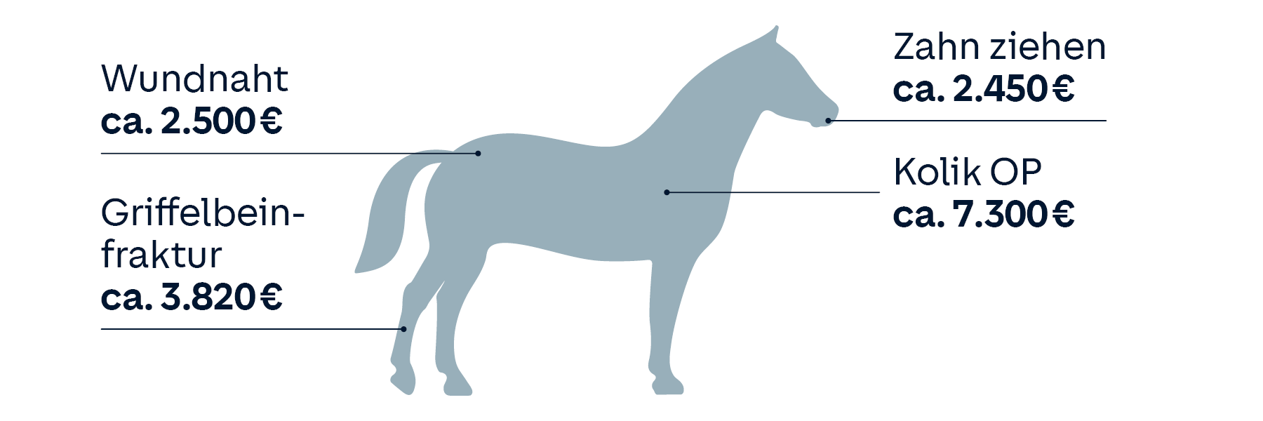 Schematische Darstellung eines Pferdes mit markierten Stellen unterschiedlicher Erkrankungen oder Verletzungen und deren Kosten: Wundnaht: ca. 2.500 €, Griffelbeinfraktur: ca. 3.820 €, Zahn ziehen: ca. 2.450 €, Kolik-OP: ca. 7.300 €