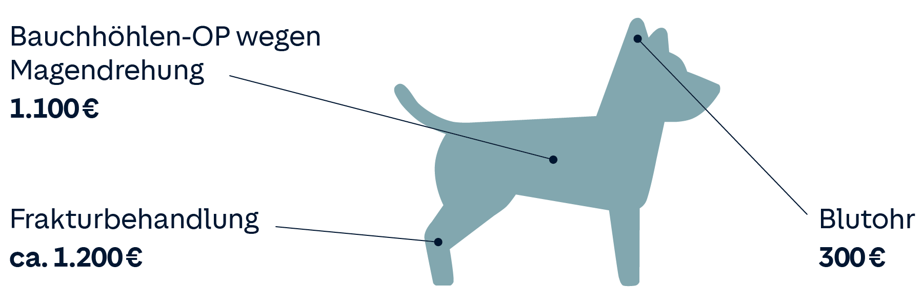 Hundekrankenversicherung: Tierarzt-Kosten Hund