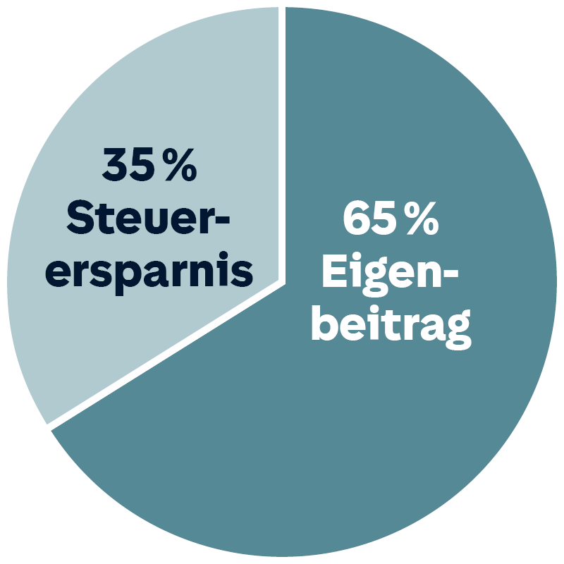 Tortendiagramm Rürup: 34 % und 66 % Steuerersparnis