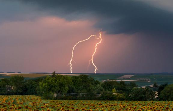 Blitze schlagen in der Dämmerung auf einer Wiese ein.