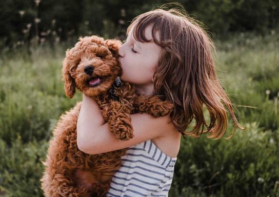 Mädchen hält einen kleinen Hund im Arm und küsst ihn.