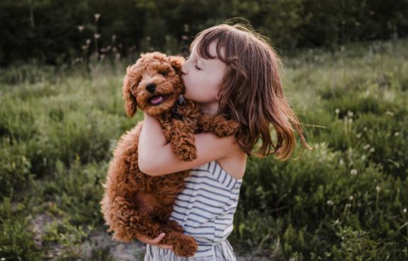 Ein kleines Mädchen küsst einen kleinen kuscheligen Hund, den sie auf dem Arm trägt.