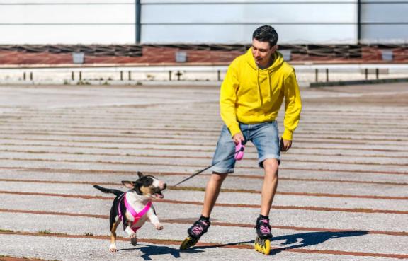 Ein Inline-Skater mit einem Hund an der Leine.
