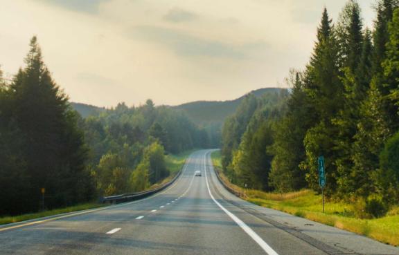 Auto fährt auf einer langen Straße umringt von Wald.
