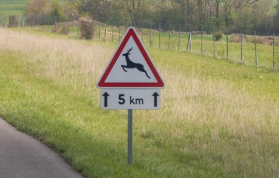 Straßenschild Achtung Wildwechsel am Rand der Fahrbahn