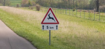 Straßenschild Achtung Wildwechsel am Rand der Fahrbahn