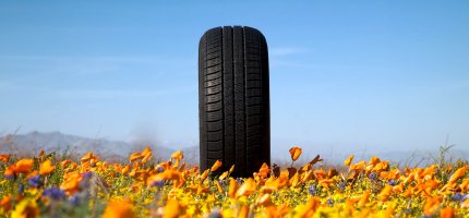 Ein einzelner Autoreifen auf einer sommerlichen Blumenwiese.