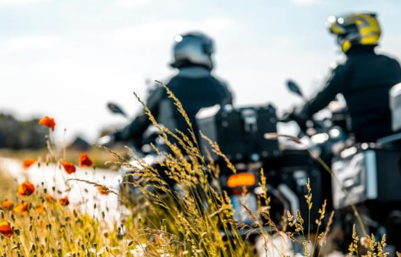 Zwei Motorradfahrer in Schutzkleidung fahren auf einer ländlichen Straße, die von blühenden Blumen gesäumt ist. 