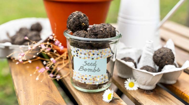 DIY: Seedbombs