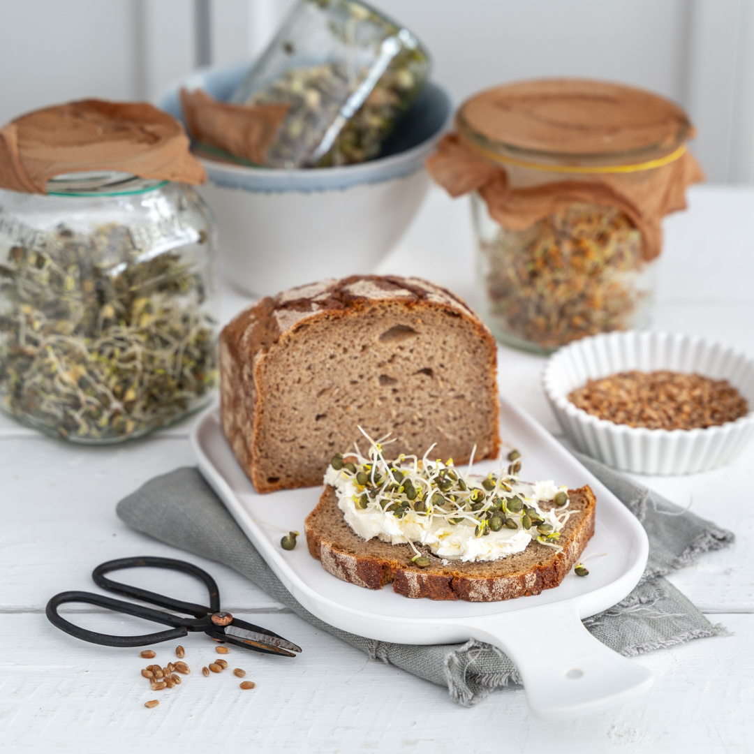 Sprossen auf Brot mit Frischkäse