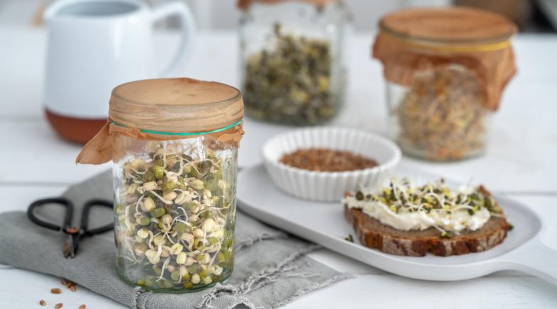 selbstgezogene Sprossen im Glas und auf Brot