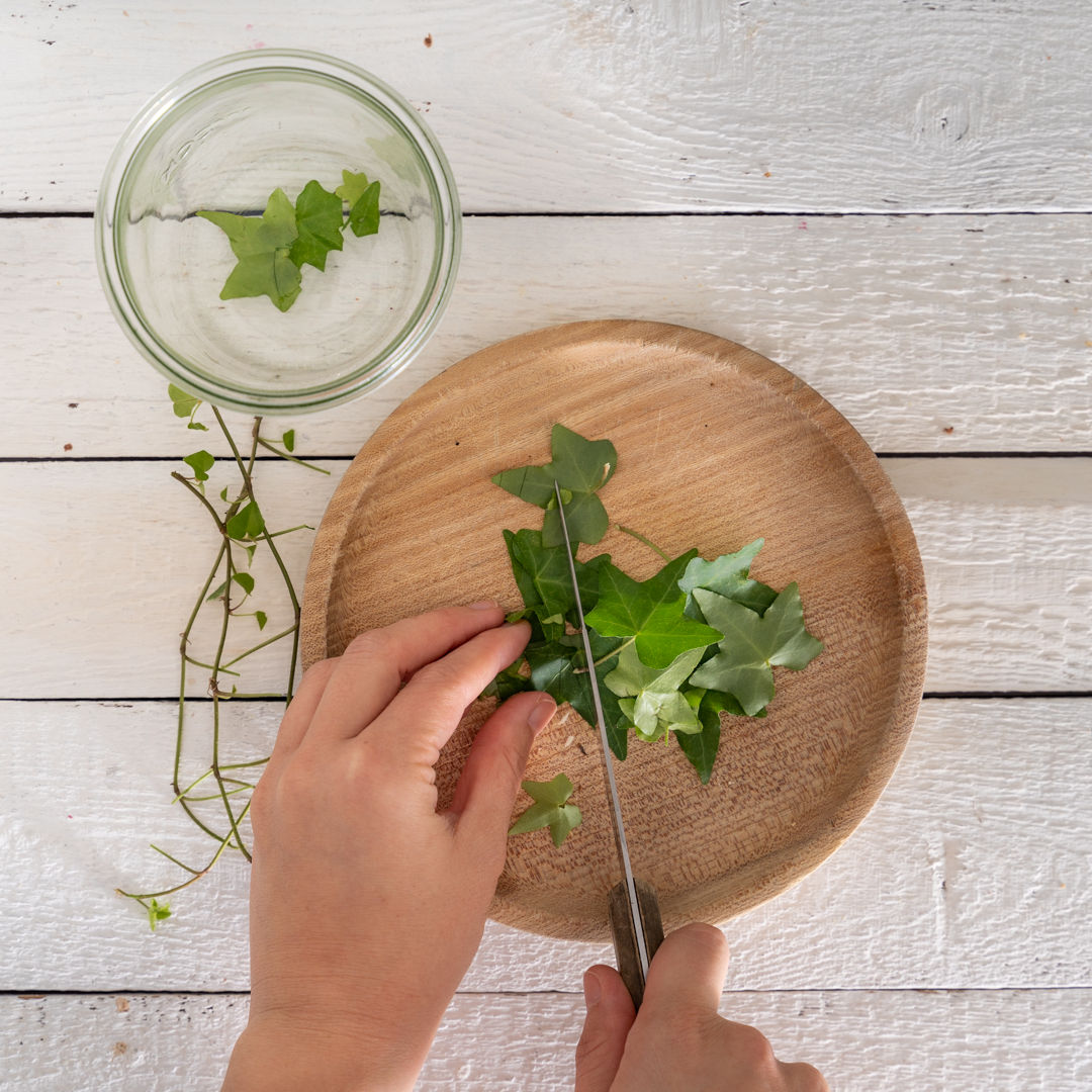 DIY Schritt 2: Efeu kleinschneiden und mit heißem Wasser aufkochen