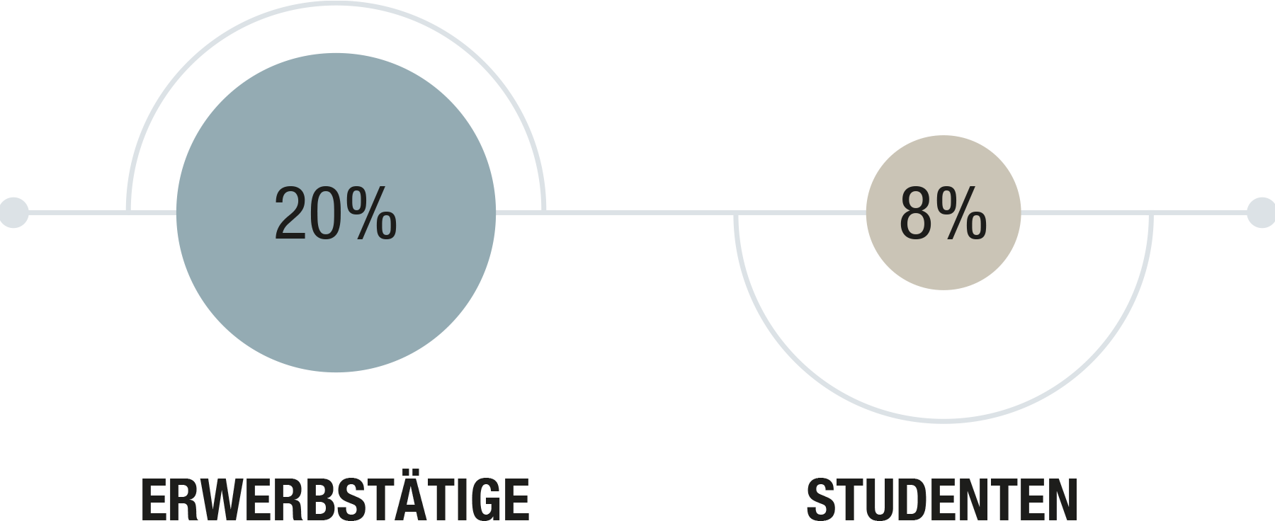 Grafik 20% Erwerbstätige, 8% Studenten