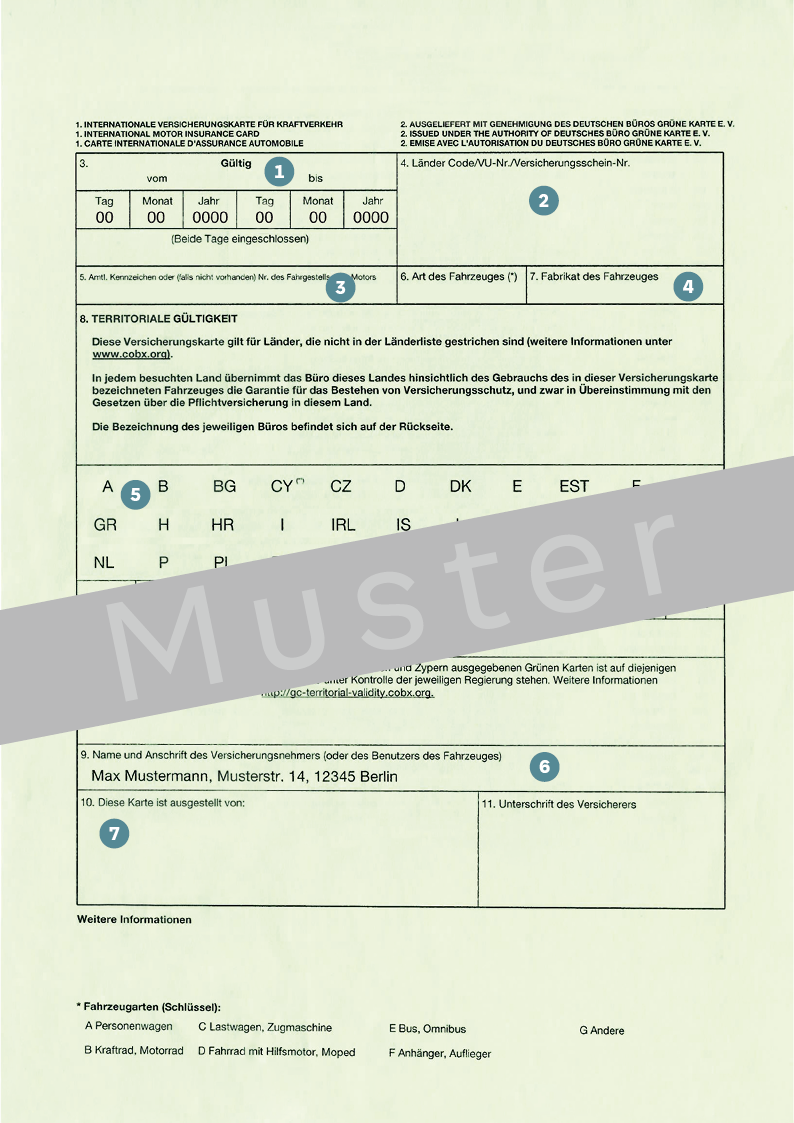 Muster einer grünen Versicherungskarte