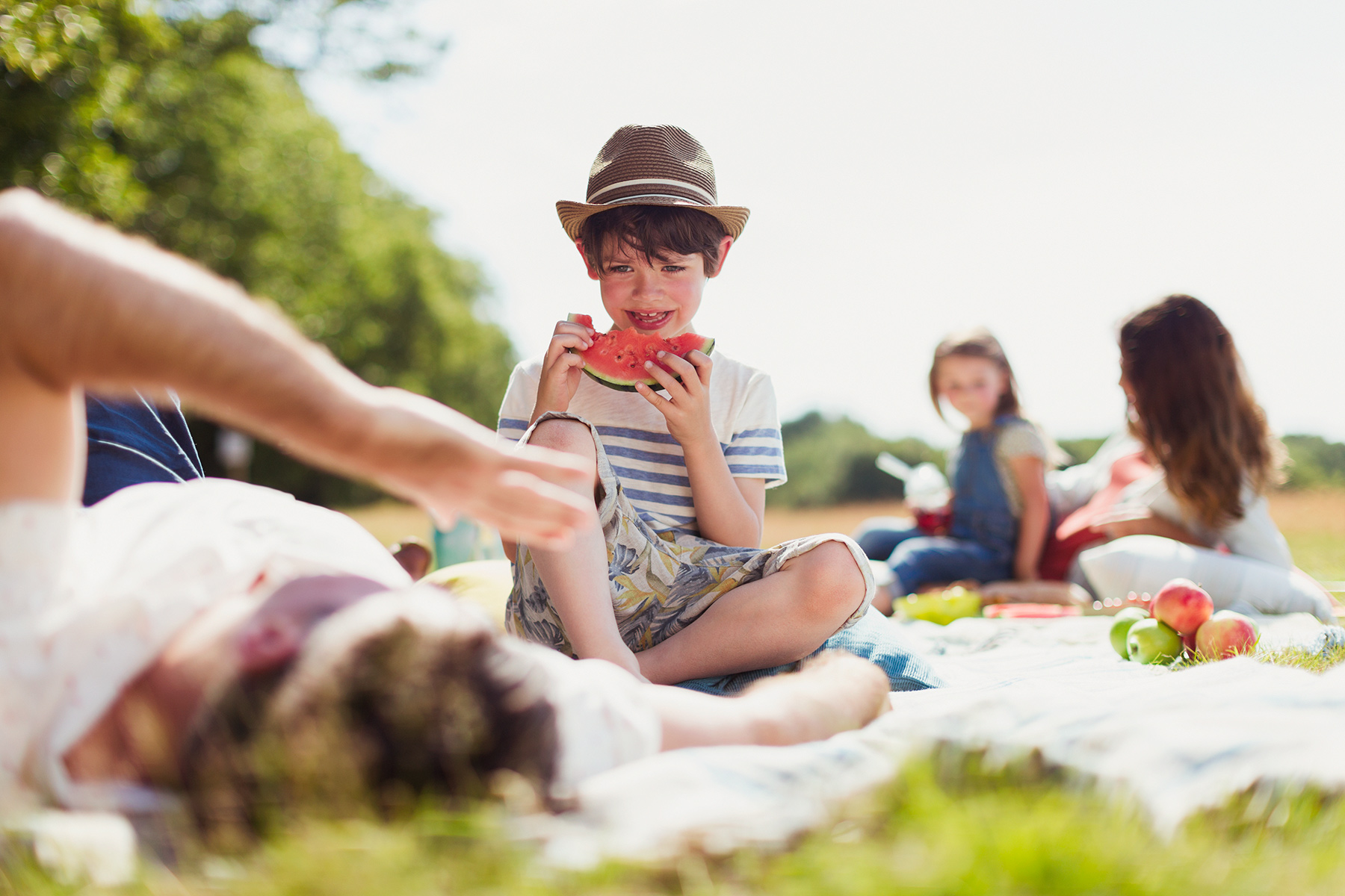 Familie beim Picknick auf einer Wiese