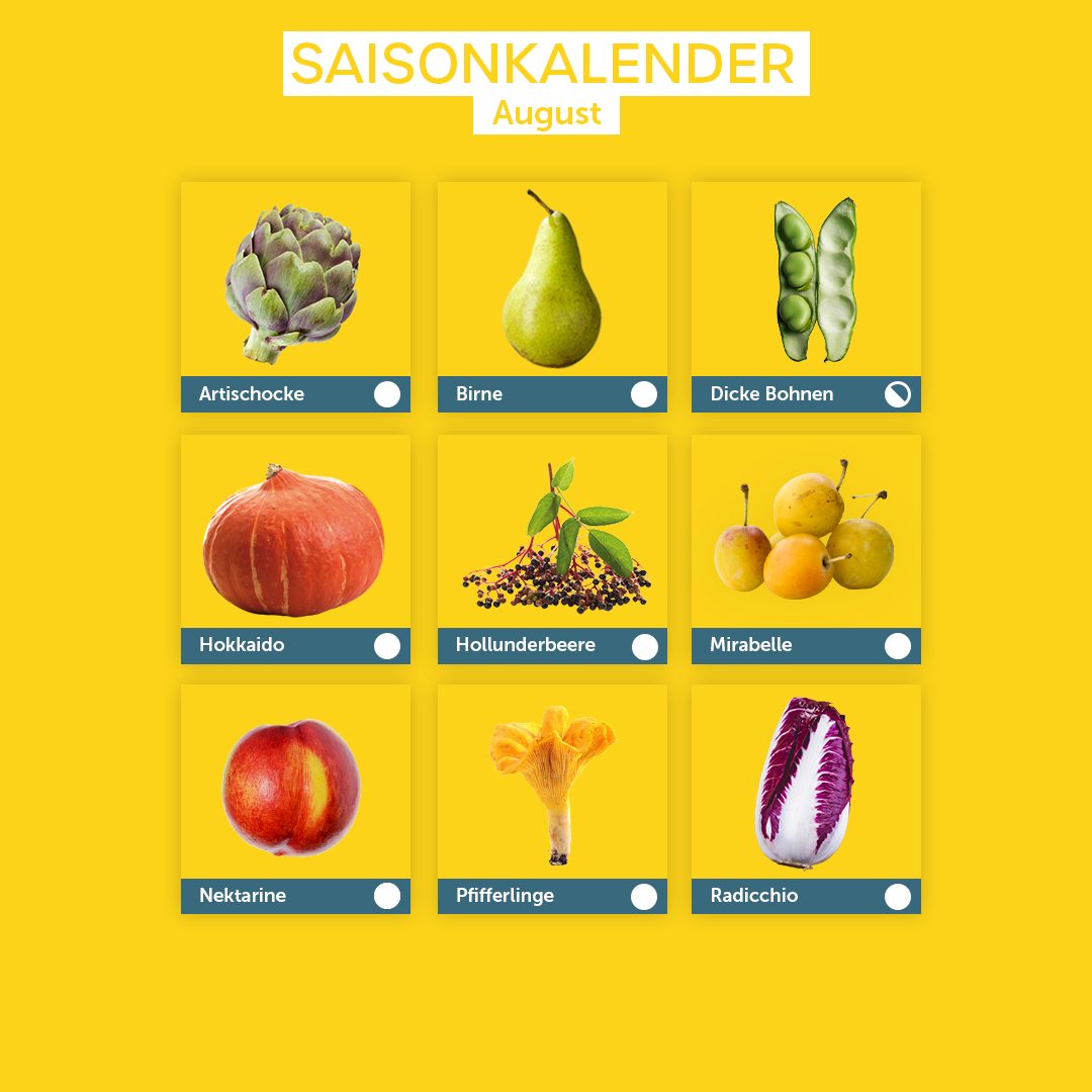 Saisonkalender August: Artischocke, Birne, Dicke Bohnen, Hokkaido, Hollunderbeere, Mirabelle, Nektarine, Pfifferlinge, Radiccio