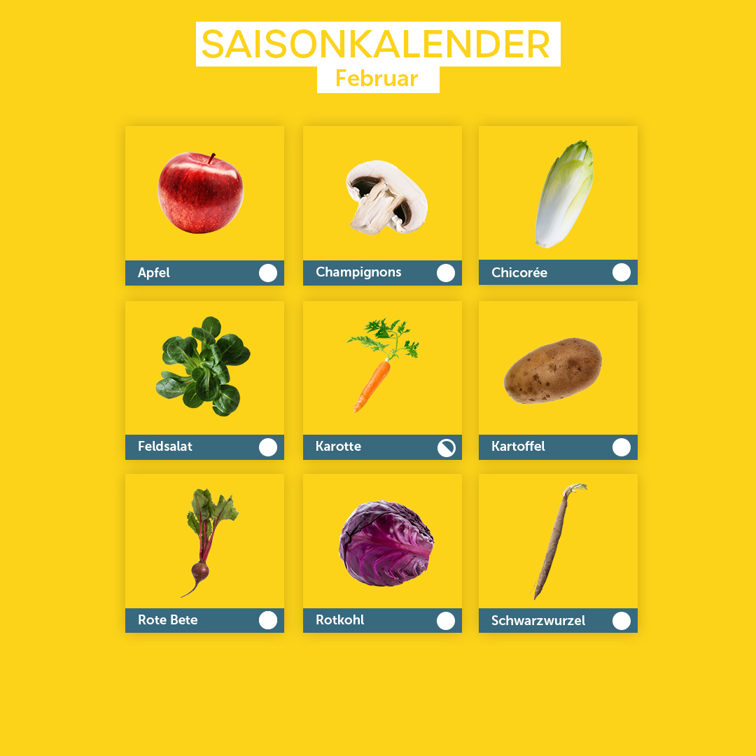 Saisonkalender Februar: Apfel, Champignons, Chicorée, Feldsalat, Karotte, Kartoffel, Rote Beete, Rotkohl, Schwarzwurzel