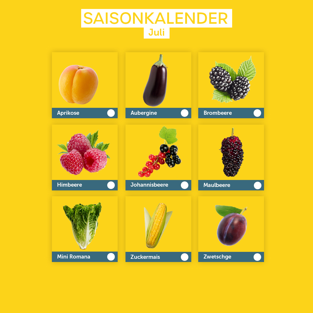 Saisonkalender Juli: Aprikose, Aubergine, Brombeere, Himbeere, Johannisbeere, Maulbeere, Mini Romana, Zuckermais, Zwetchge