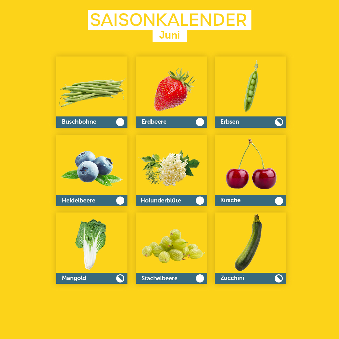 Saisonkalender Juni: Buschbohne, Erdbeere, Erbsen, Heidelbeeren, Holunderblüte, Kirsch, Mangold, Stachelbeere, Zucchini