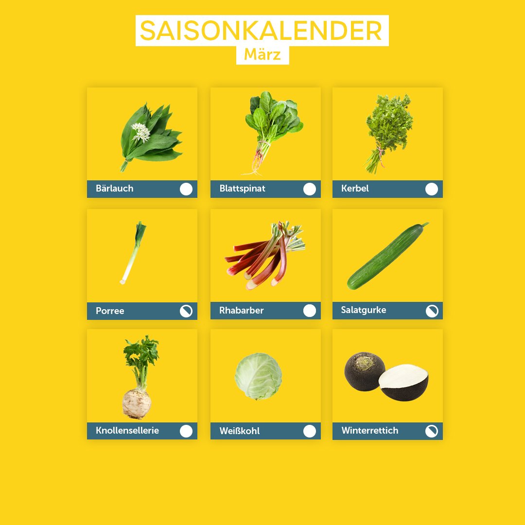 Das Bild zeigt einen Saisonkalender für den Monat März. Es sind neun verschiedene Obst- und Gemüsesorten abgebildet, die in dieser Zeit Saison haben: Bärlauch, Blattspinat, Kerbel, Porree, Rhabarber, Salatgurke, Knollensellerie, Weißkohl & Winterrettich. Jede Sorte ist in einem eigenen Feld mit Bild und Namen dargestellt. Der Saisonkalender informiert darüber, welche frischen Produkte im März erhältlich sind.