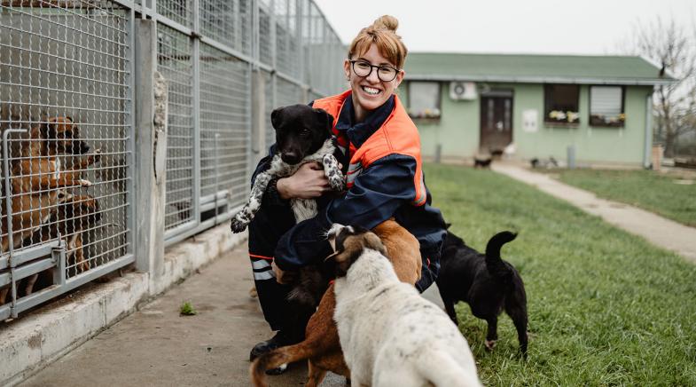 Eine Frau tollt mit drei Hunden vor einem Tierheim.