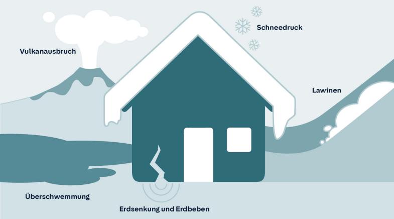 Grafische Darstellung für Elementarschäden