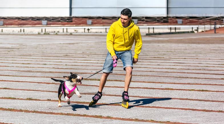 Mann mit Hund beim Inlineskaten