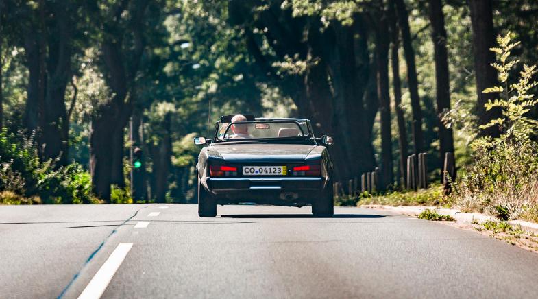 Ein Oldtimer-Cabrio fährt mit offenem Verdeck durch eine Allee.