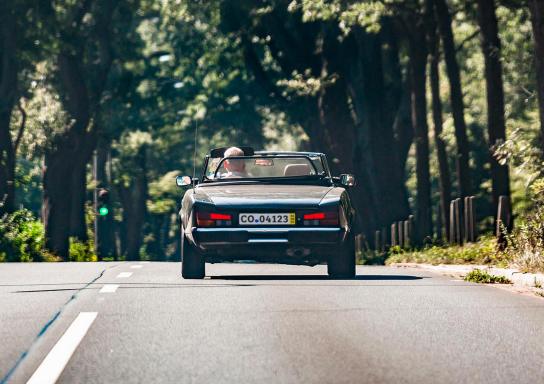 Ein Oldtimer-Cabrio fährt mit offenem Verdeck durch eine Allee.