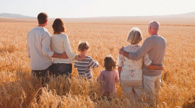 Großeltern, Eltern und Kinder stehen in einem Weizenfeld.