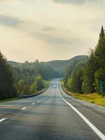 Straße, die durch den Wald führt