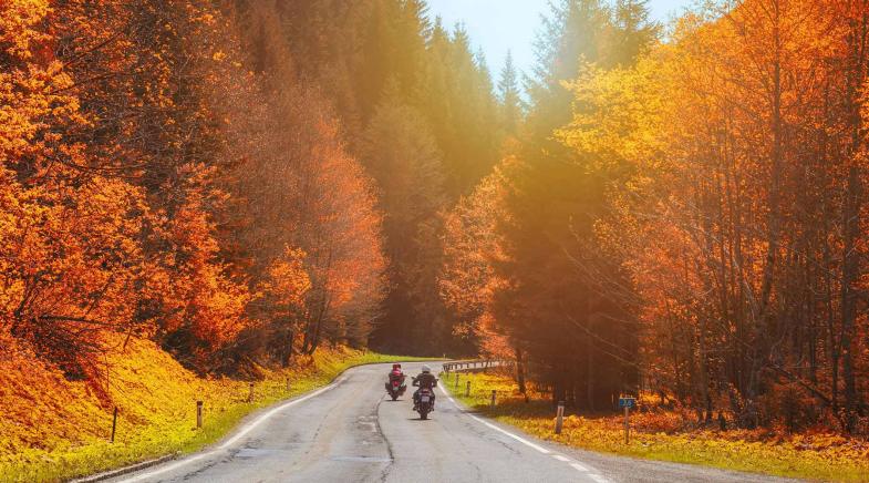 Zwei Motorradfahrer fahren durch eine Herbstlandschaft.