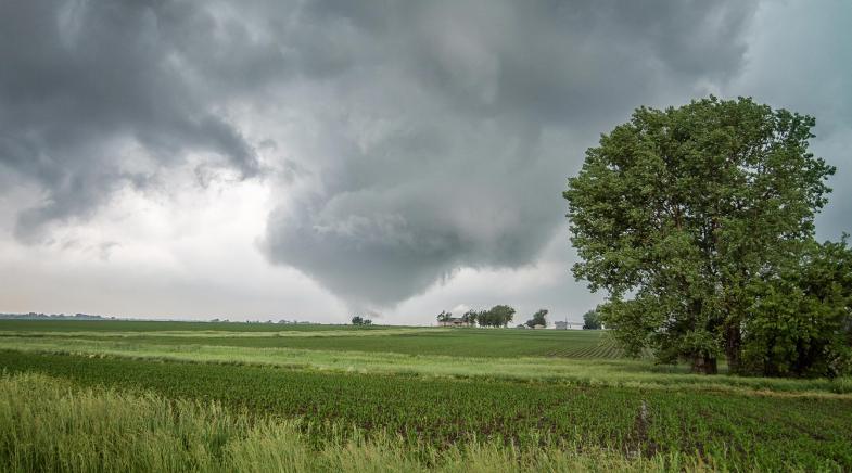 Ein Tornado formt sich am Horizont.