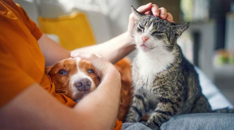 Frau mit Hund und Katze in Küche